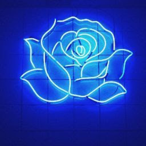 Meet your Posher, Toughpuppy - Picture 1 of 1